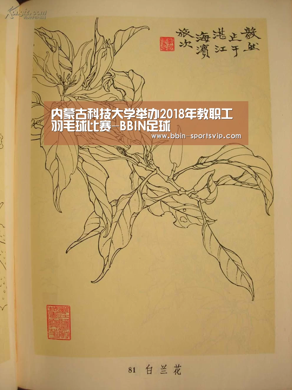 BBIN电竞