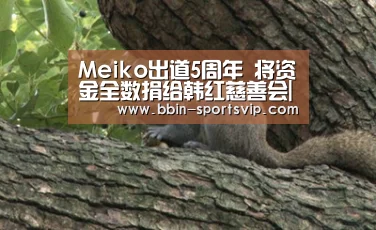 Meiko出道5周年 将资金全数捐给韩红慈善会|BBIN电竞(图1) BBIN电竞